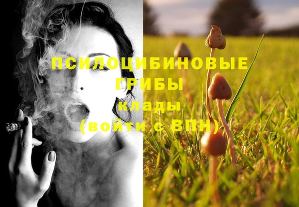экстази Баксан