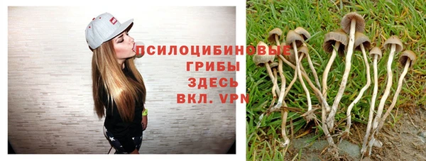 гашик Балахна