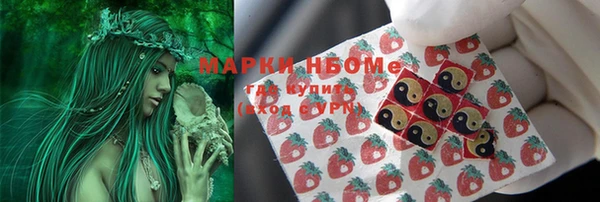 гашик Балахна