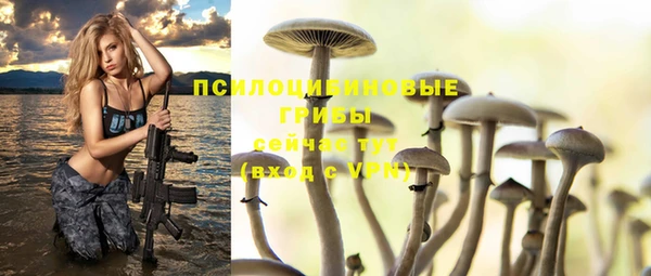 экстази Баксан