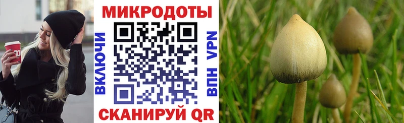 хочу   Белогорск  Галлюциногенные грибы прущие грибы 
